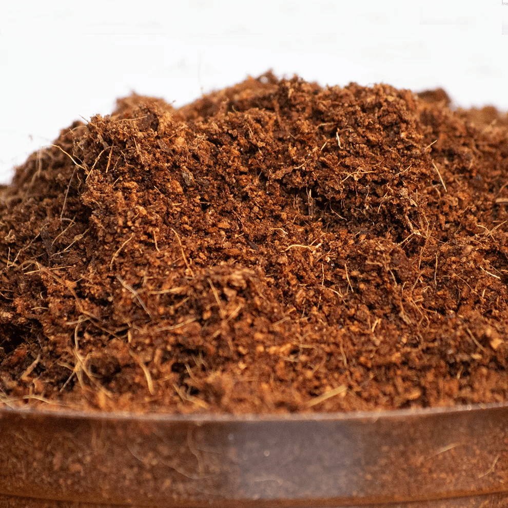 Preparing a Coco Coir Briquette