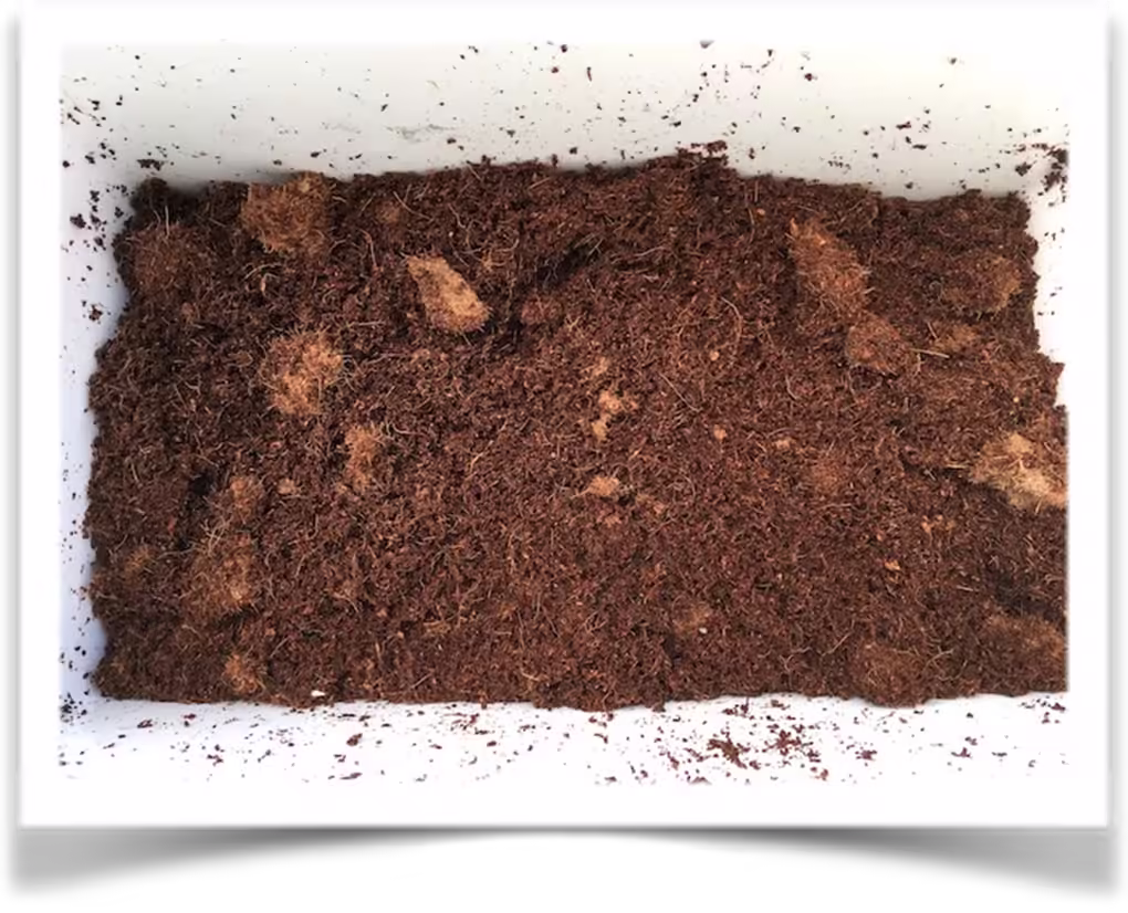 Preparing Coco Coir Briquette for use in a composting toilet. Compost Toilet medium.